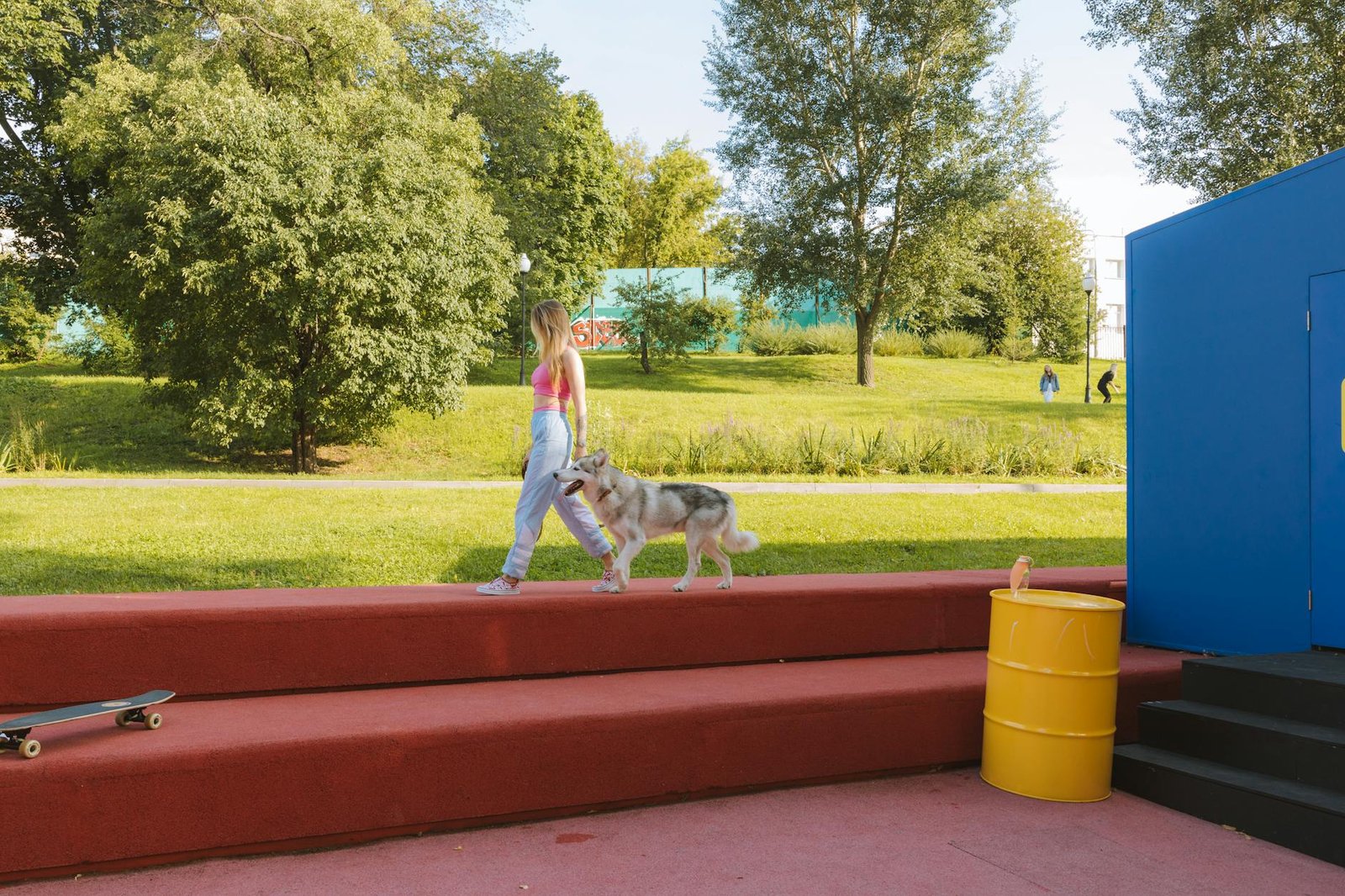 bozales para perros