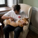 cepillos para perros muda