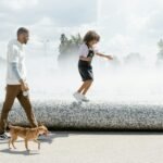fuentes agua perros