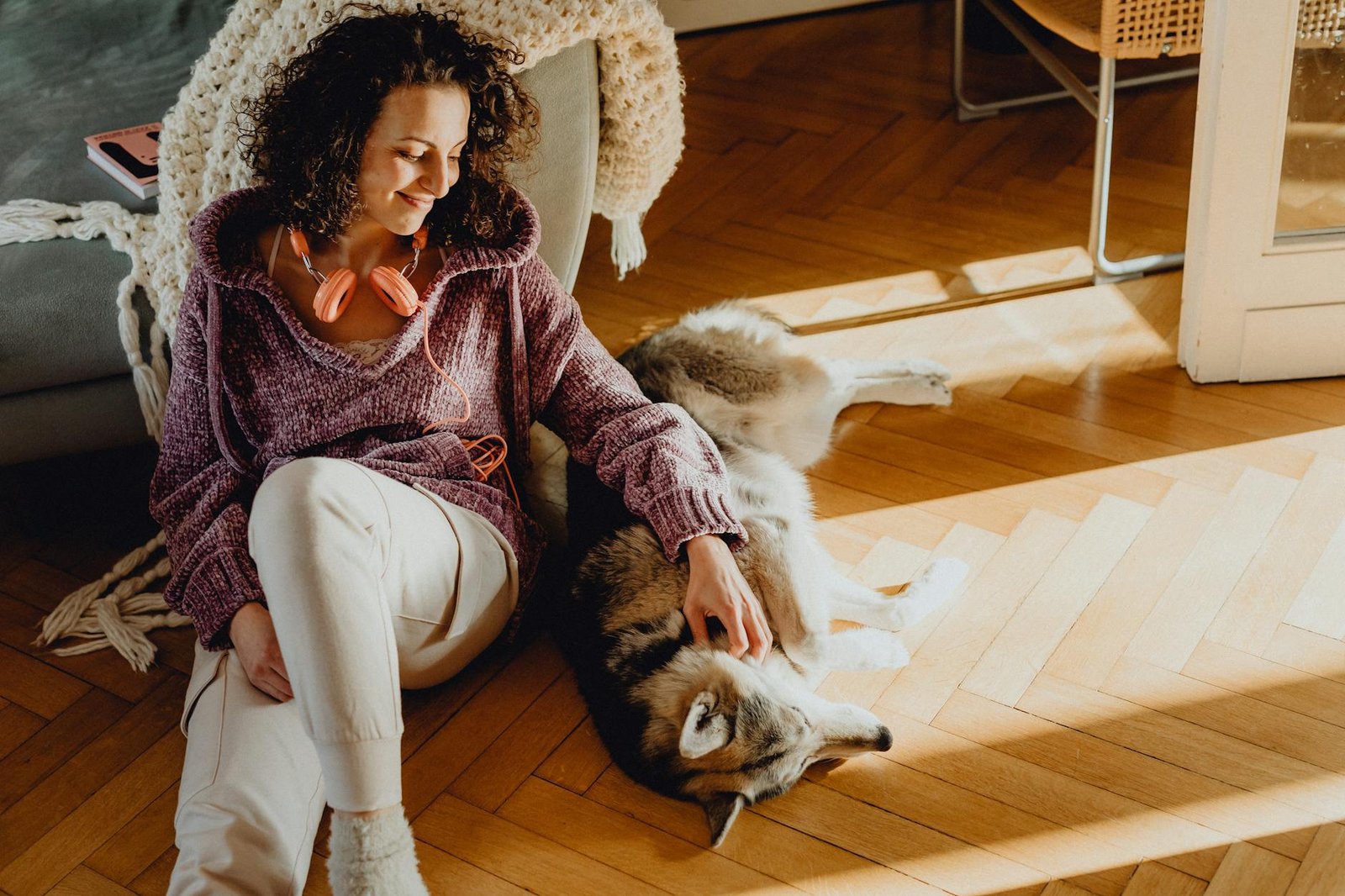 limpiar oídos perro
