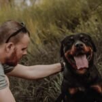 antiparasitarios naturales para perros