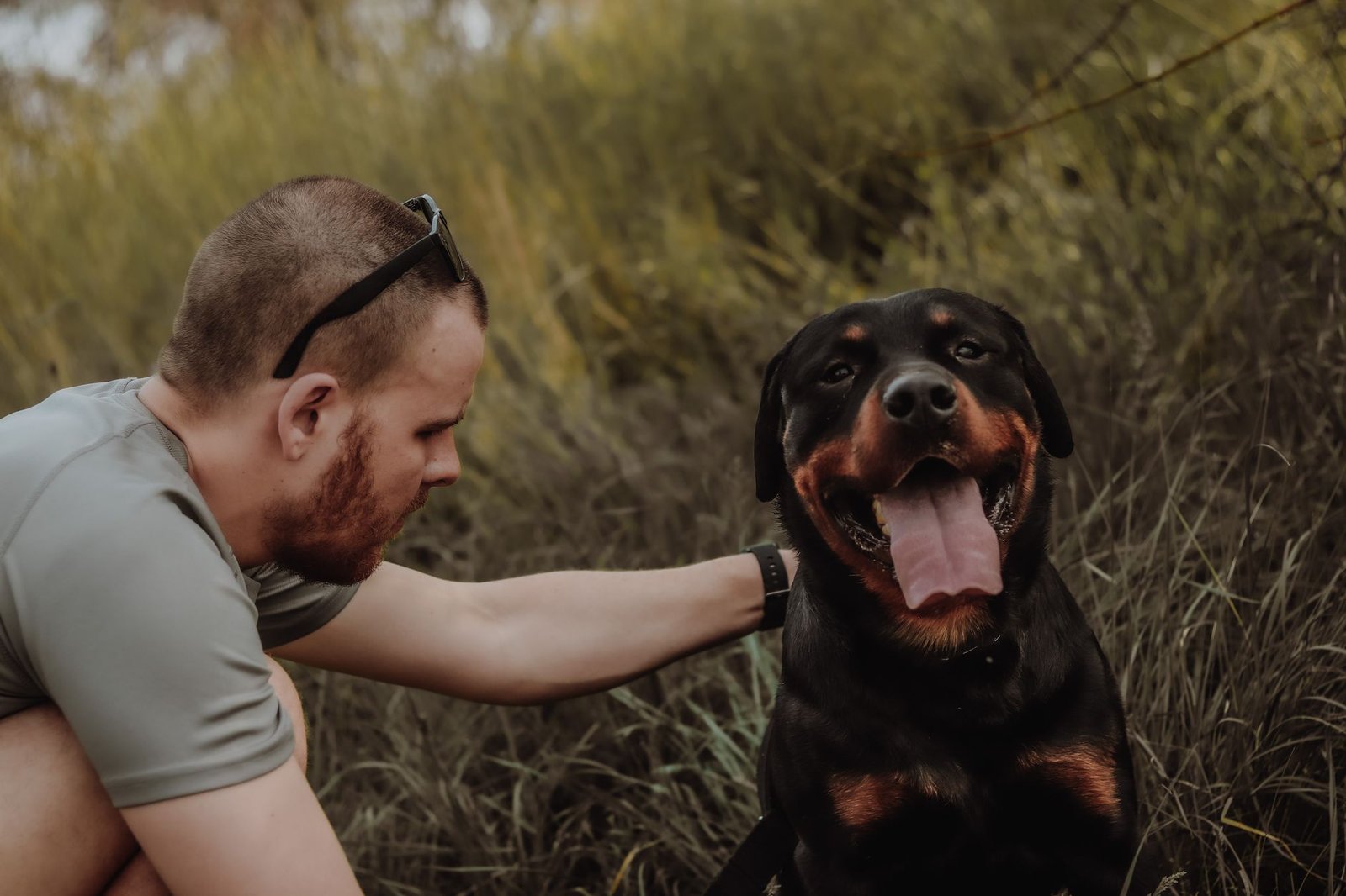 antiparasitarios naturales para perros