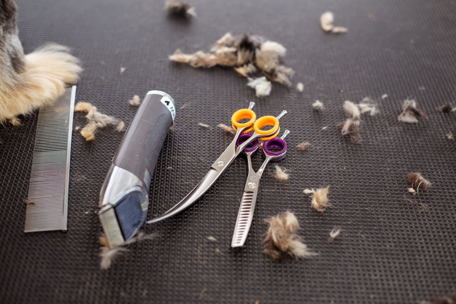 tijeras grooming perros